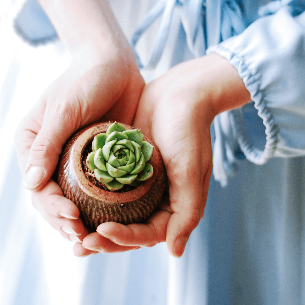 perfectdayseries_reno_classact_miniguide-07